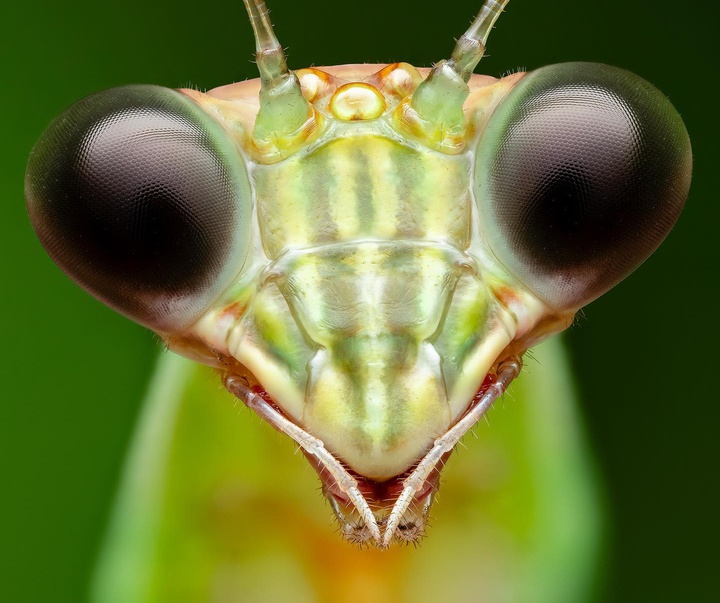 Gallery of Photography by Ben Salb - USA