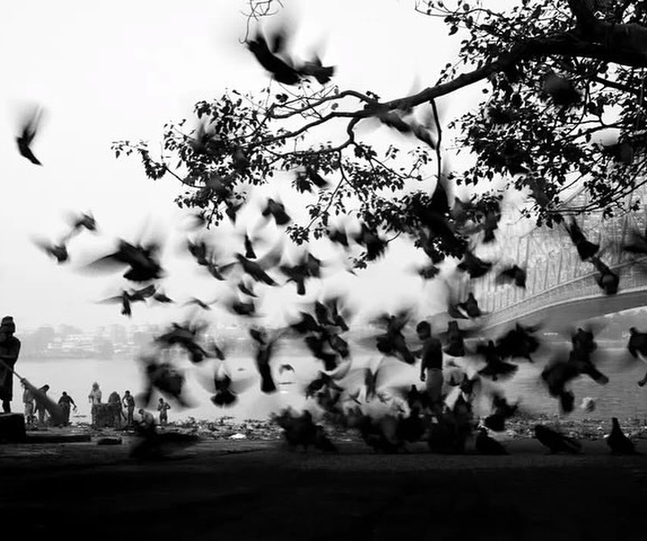 Gallery of Photography by Santanu Dey - India