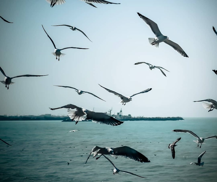 Gallery of photography by Amir Tavakoli - Iran