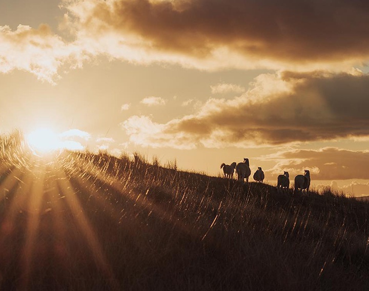 Gallery of Photography by Gareth Llewellyn - Wales