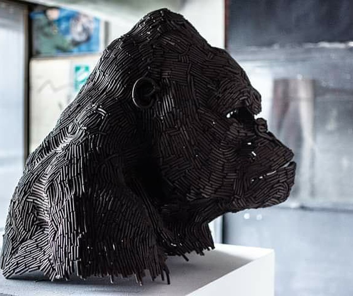 Gallery of Sculpture by Adi Piorescu