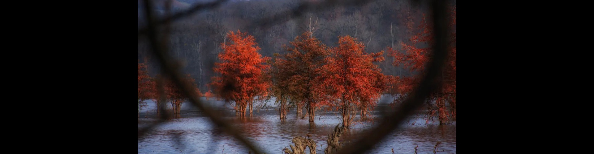 Gallery of Photography by Javad Jahanbin- Iran