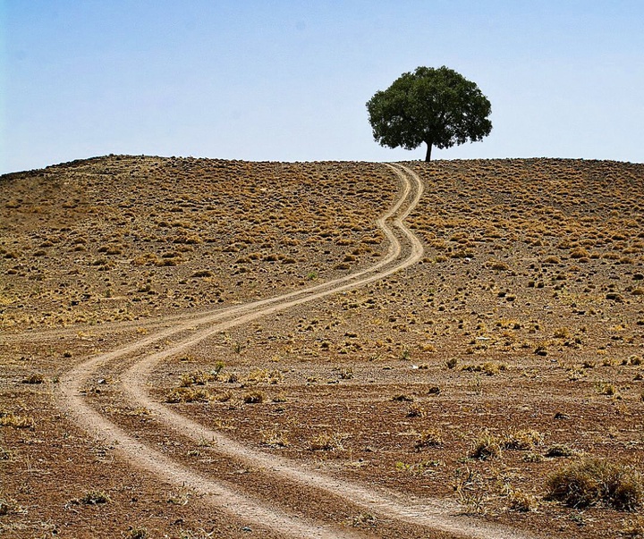 Gallery of Photography by Mehdi Shirvani-Iran