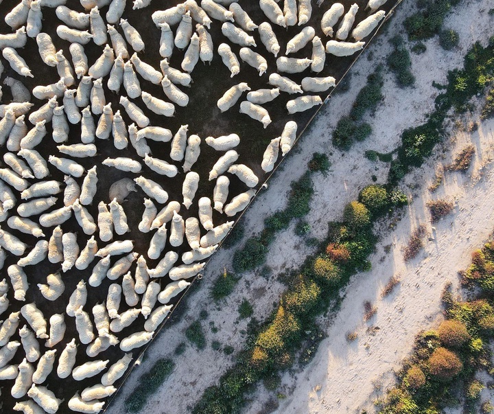 Gallery of Photography by James Harrison - Australia