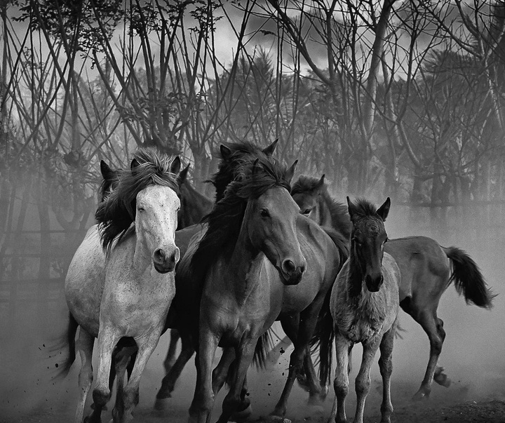 Gallery of the best Photos by Rudy Oei-Indonesia