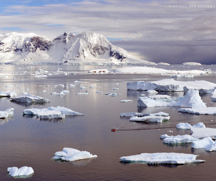 Gallery of Photography by Marsel van Oosten- Netherlands