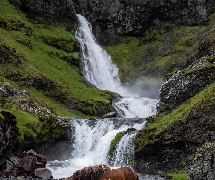 Gallery of photography by Liga Liepina - Iceland