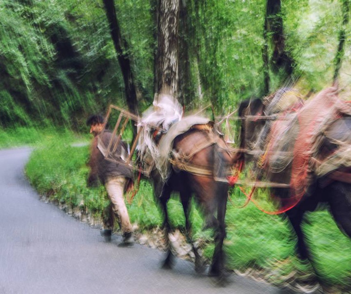 Gallery of photography by Bahman Azizi- Iran