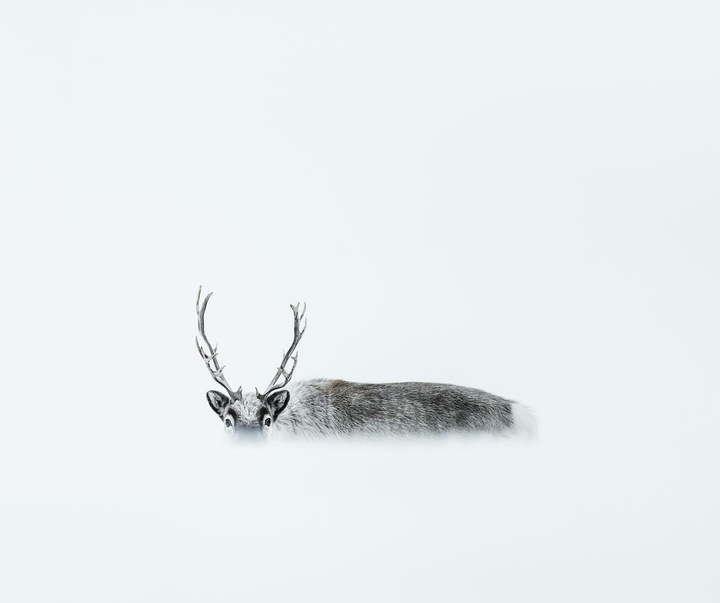 Gallery of Photography by Benjamin Hardman - Iceland