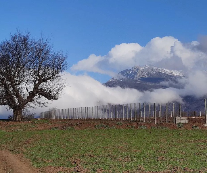 Gallery of Landscape Photography by Mojtaba Dori-Iran