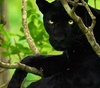 Gallery of Photography by Mithun Hunugund
