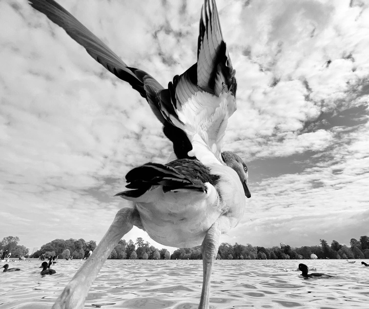 Gallery of Photography by Dimpy Bhalotia - India