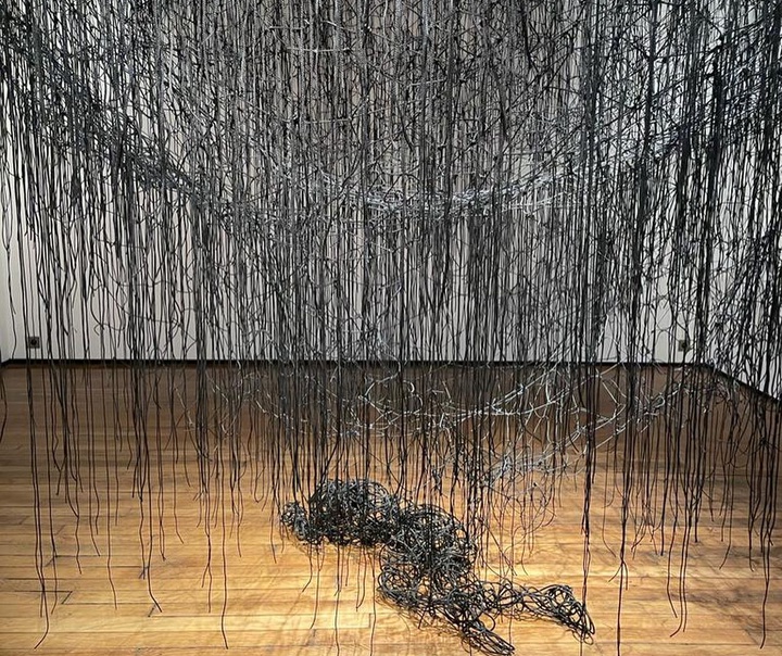 Chiharu Shiota