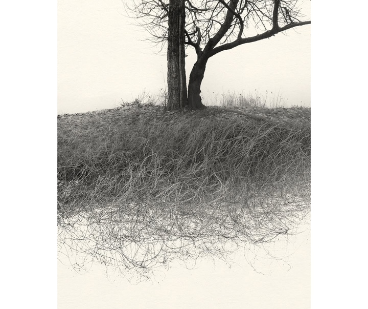 Gallery of Photography by Eva Chupikova - Slovakia
