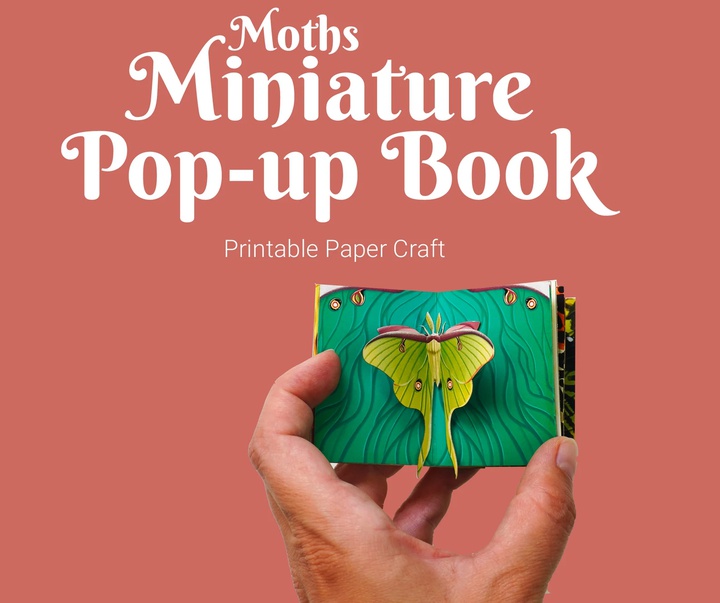 Gallery of Artistic book and sketch Book