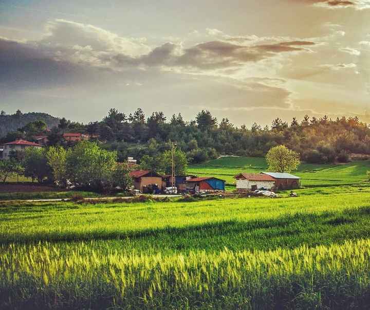 Gallery of photography by Dr.Aylin Yildirim - Turkey