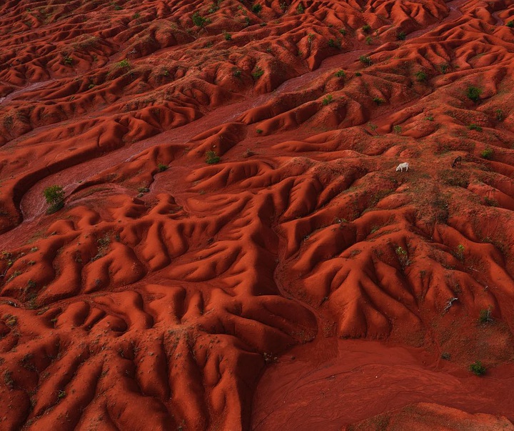 Gallery of Photography by Lalo de Almeida - Brazil