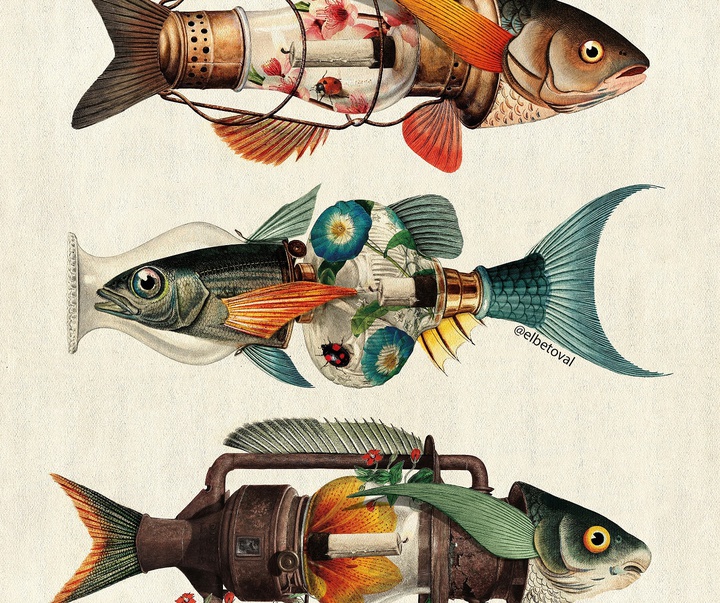 Gallery of Illustration by Beto Valencia - Ecuador