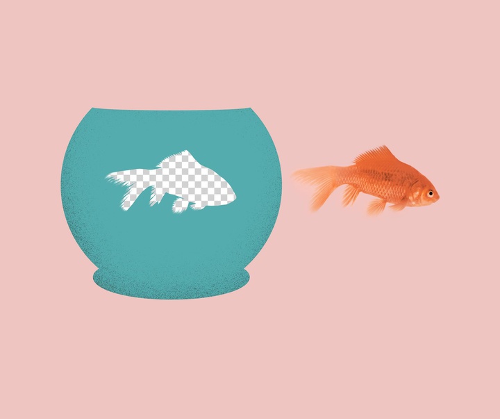 Gallery of Graphics by Domenic Bahmann - Germany