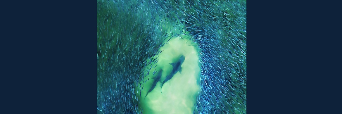Gallery of Photography by Joanna Steidle - USA