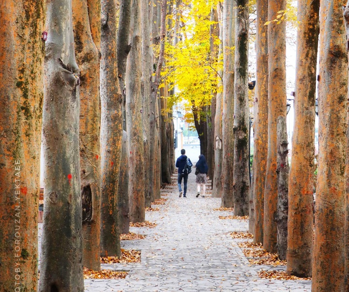 Gallery of Photography by Forouzan Yektaee-Iran