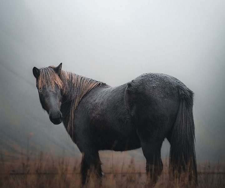 Gallery of photography by Norris Niman-Iceland