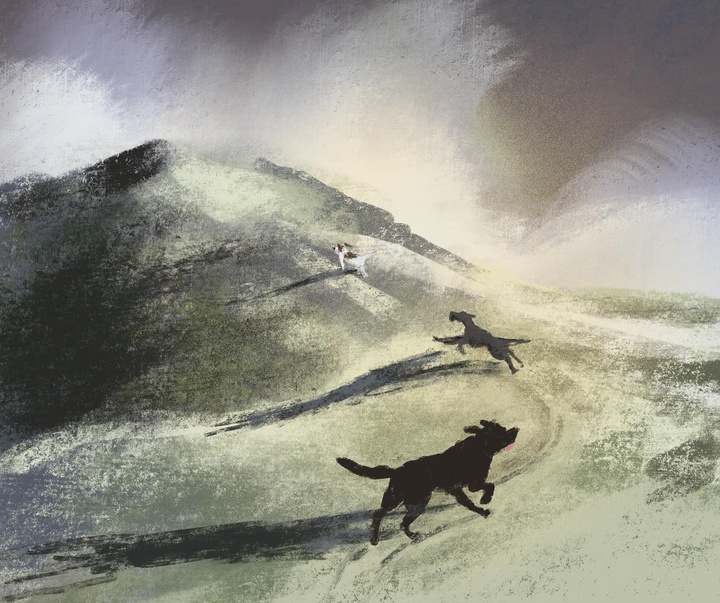 Gallery of Illustration by Jenny Bloomfield - UK