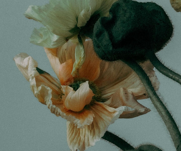 Gallery of Photography by Joe Clarke - UK