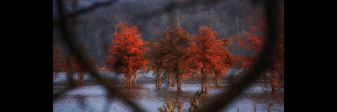 Gallery of Photography by Javad Jahanbin- Iran