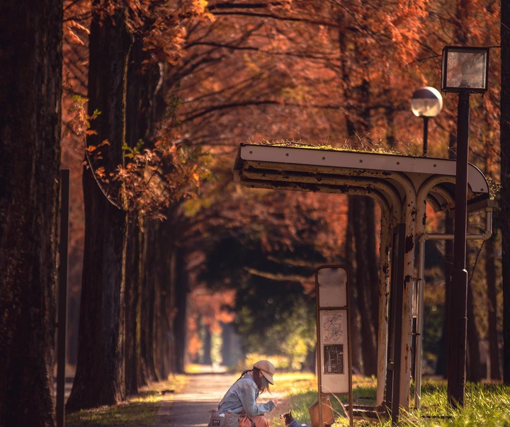 Gallery of Photography by Fujio Kamimura - Japan