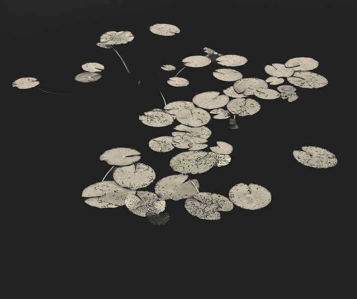 Gallery of Photography by Kalle Saarikko - Finland