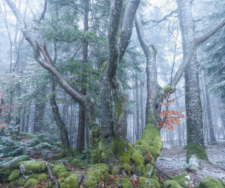 Gallery of photography by Pujan Shadlau - Austria