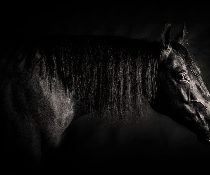 Gallery of Photography by Constance Jaeggi - Switzerland