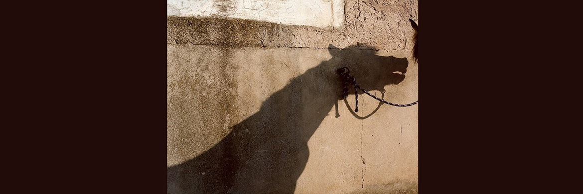 Gallery of Photography by laura pannack - UK