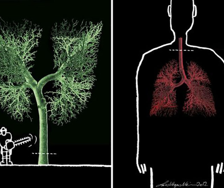 deforestation think again