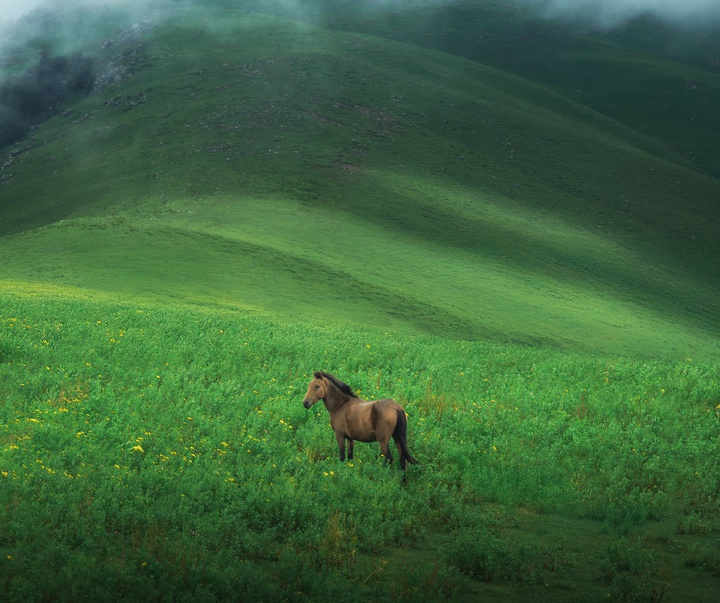 Gallery of Photography by Khumais Idrees - Pakistan