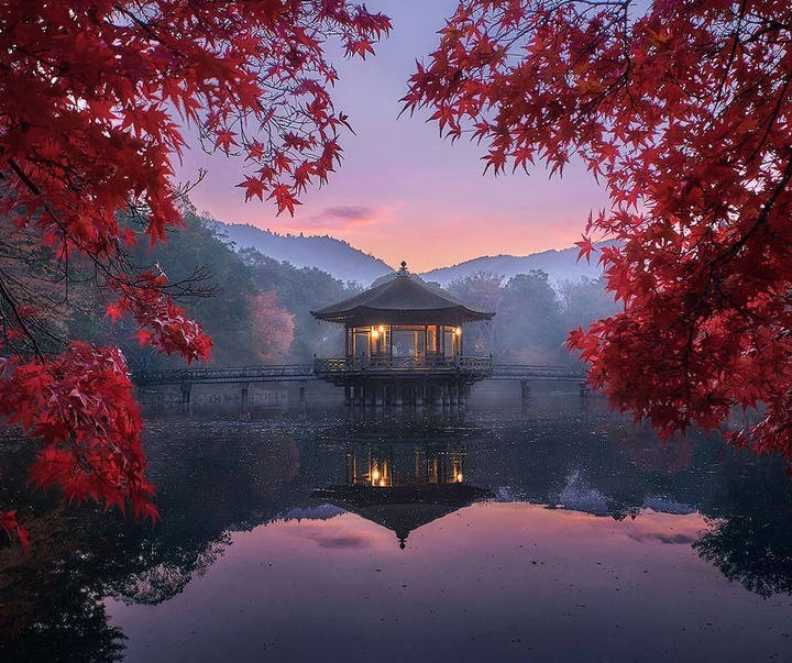 Gallery of Photography by Juan Solís