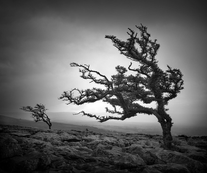 Gallery of photography by Noel Bodle - England