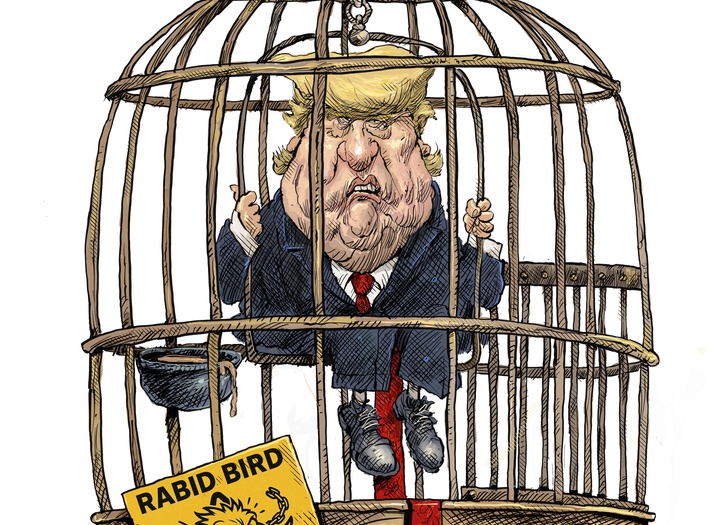 Trump, the Rabid Bird