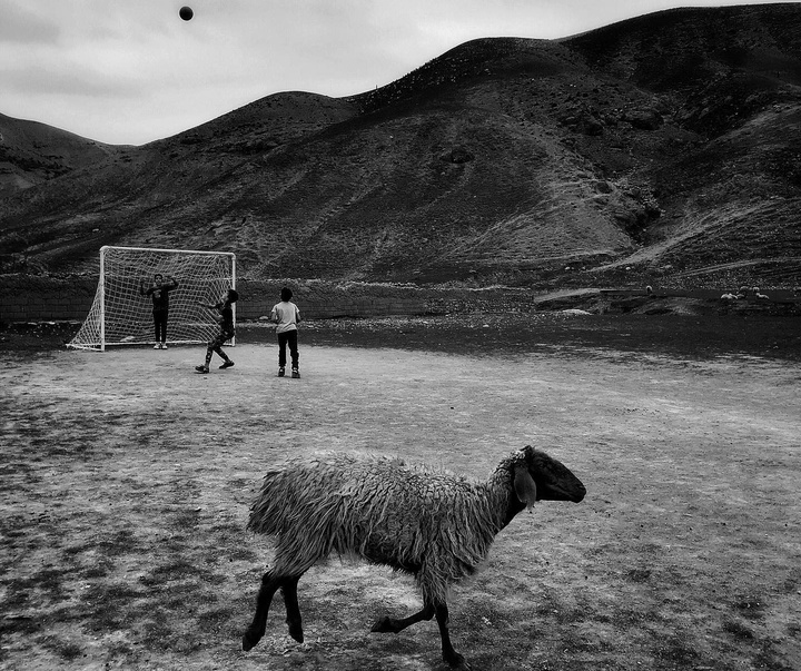 Gallery of Photos by Akbar Mehrinezhad-Iran