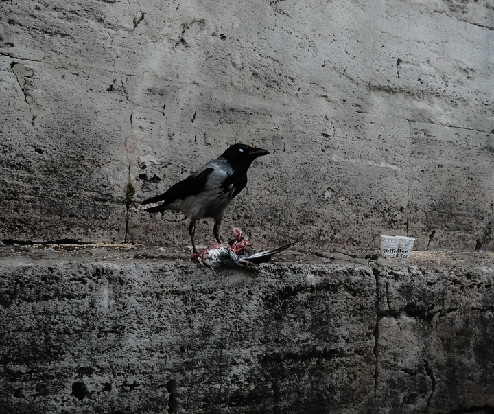 Gallery of Photography by Gökhan Arer - Turkey
