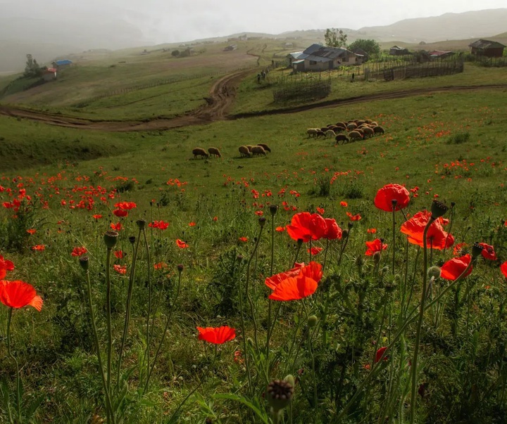 Gallery of Photography by Javad Jahanbin- Iran