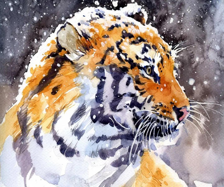 Gallery of Watercolor painting by Ekaterina Pahomova
