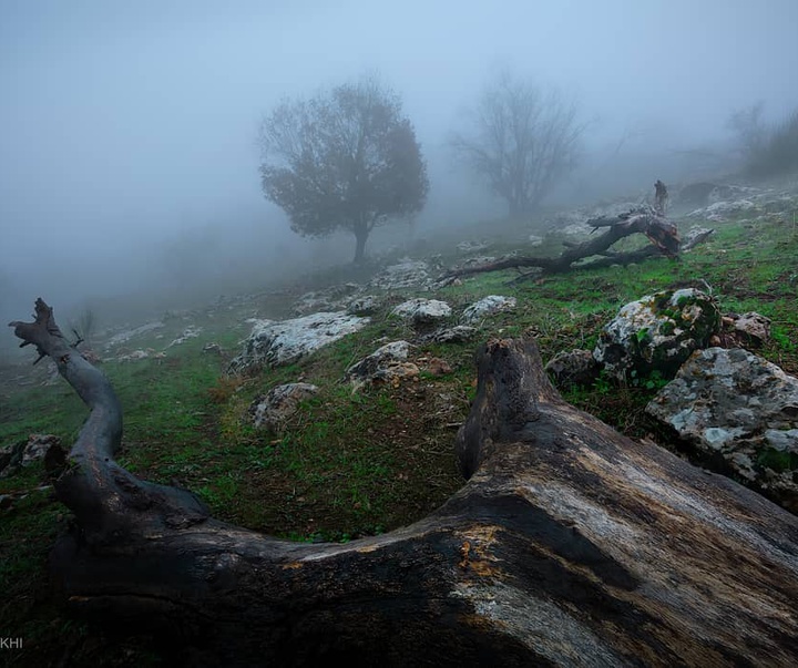 Gallery of photography by Farshad Sorkhi-Iran