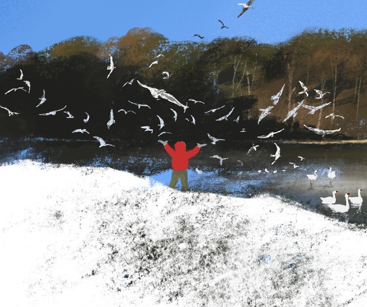 Gallery of Illustration by Jenny Bloomfield - UK
