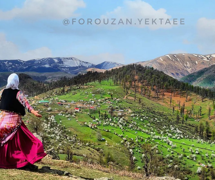 Gallery of Photography by Forouzan Yektaee-Iran