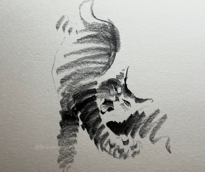 Gallery of Drawing by Shou Xin - China