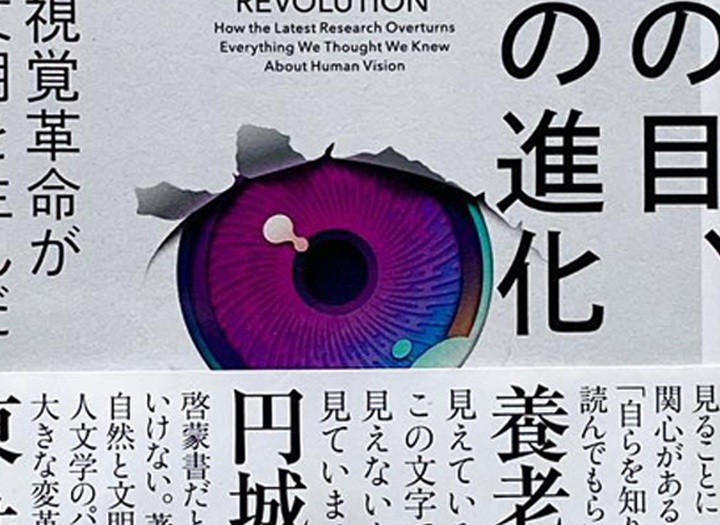 Gallery of Graphic Design By Chikako Oguma- Japan