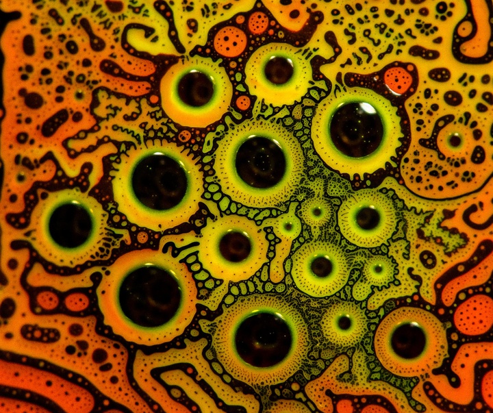 Gallery of Modern Art by Kamil Czapiga - Poland