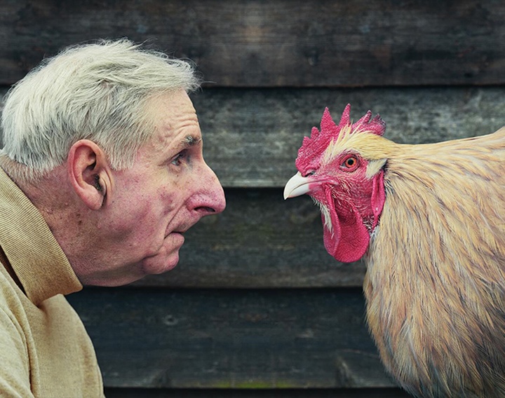 Gallery of Photography by david stewart